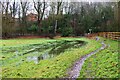 Flooding in field near River Severn, Stourport-on-Severn, Worcs