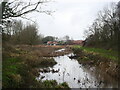 TG2831 : Upstream view from Bridge over North Walsham & Dilham Canal by David Pashley