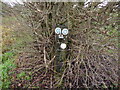 Waymarker discs on the footpath near Ford, Shropshire