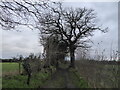 Old footpath between the fields