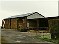 Calves and hay at Warm Lane Farm