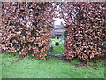 Cottage gate in a beech hedge