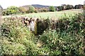 View through field gateway towards embankment of Settle-Carlisle railway