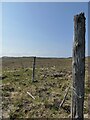 Ruined fence, Taobh a