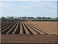 Furrowed field near Montboy