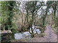 Footpath and stream