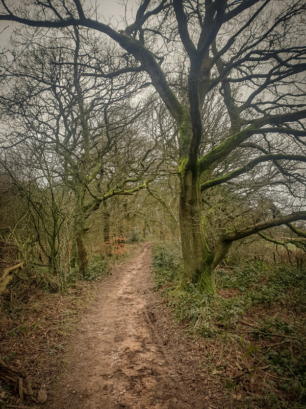 Path Heading to Hobgoblin Gate,... © Brian Deegan :: Geograph Britain ...