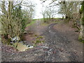 Track and bridleway into fields