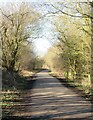 Path and cycleway at Bilton