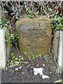 Old milestone on Dike Hill, Harley