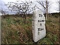 Old milestone