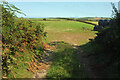 SX8750 : Farmland by Jawbones Hill by Derek Harper