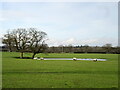 Pond at Red Hall Farm