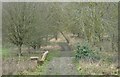 Old bridge, Lorenden Park, Painters Forstal