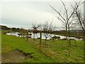 Fish pond at Spring End Farm