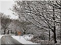 Hoarstone Lane at Trimpley