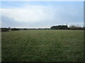 Grass field, Welton Hill