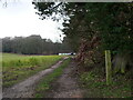 View towards Heath Cottage