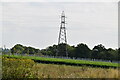 Pylon in orchard