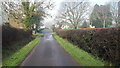 Frenches Lane, near Frenchwood Farm