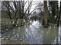 SP5202 : Flooded footpath to the River Thames by Steve Daniels