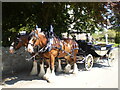 Heavy horses outside Cardington church