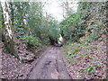 Old Roman road north of Lee Brockhurst village