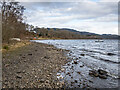 The shore of Loch Awe at Dalavich