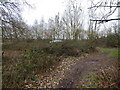 Path approaching the A49 north of Lee Brockhurst