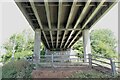 Under the Viaduct