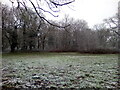 Snow in Terrels Heath