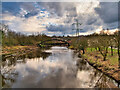 River Irwell at Ringley