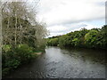 W4498 : River Blackwater above Roskeen Bridge by Jonathan Thacker