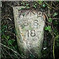 Old Boundary Marker at Oxenham Farm