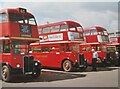 Cobham Bus Museum - RT50