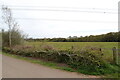 On the path to Moors Valley Country Park