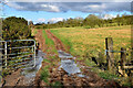 Icy lane in field, Roscavey