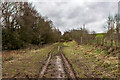 Two Saints Way heading back to Tittensor