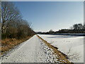 A frozen Caledonian Canal at Dalneigh