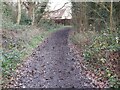 Path through the Woods