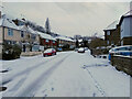 Crescent Road in the snow