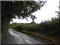 Crondall Lane west of Dippenhall