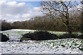 Snowy fields near Bilton