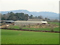 Farm buildings, Shotton Farm