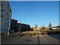 Buildings around the university area