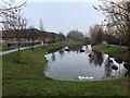 Neighbourhood sustainable drainage storage pond