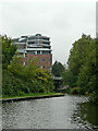 Dudley No 1 Canal north of Merry Hill, Dudley