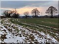 Frozen farmland near Stapleton