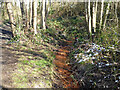 Iron-bearing drainage into Maidenbower Pond