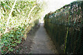 A footpath to the church and graveyard